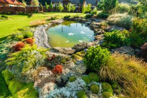 Pond in lawn